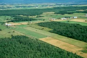 Foncier agricole Algérie