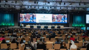 COP29 à Bakou : tensions et enjeux pour éviter le pire du réchauffement climatique