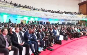 Sommet africain sur l’énergie : électrification et programmes régionaux de coopération