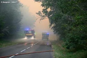 Les Sapeurs Pompiers du 77 en opération à Fontainebleau ( credit photo @Sdis77)